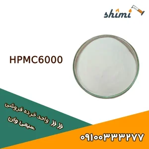 HPMC6000