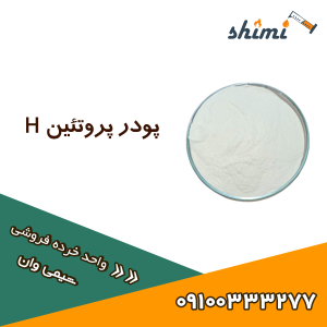 پودر-پروتئین-H