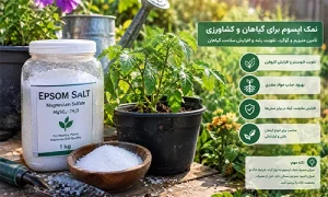نمک اپسوم در کشاورزی و برای گیاهان